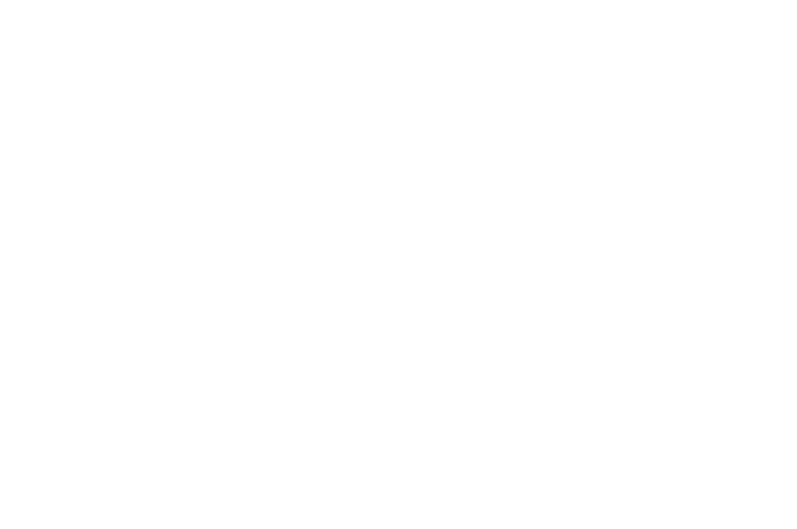 OFFICIALSELECTION-MequinensaInternationalFilmFestival-2026Blanco